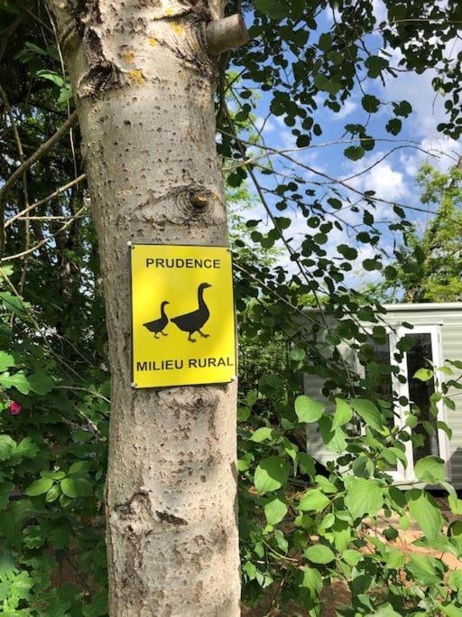 Un Bel Endroit Dans La Nature *